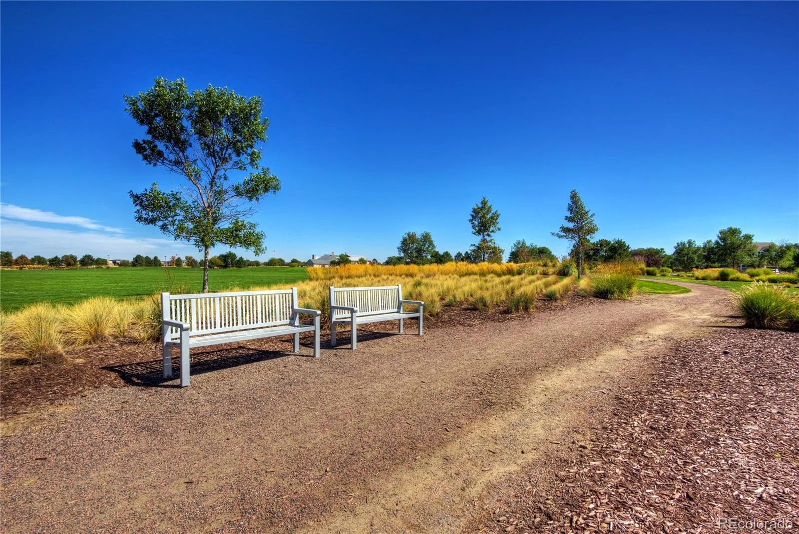 10678 Truckee Street Commerce City CO 80022 | MLS #REC2046352 08252026215300 1600 35