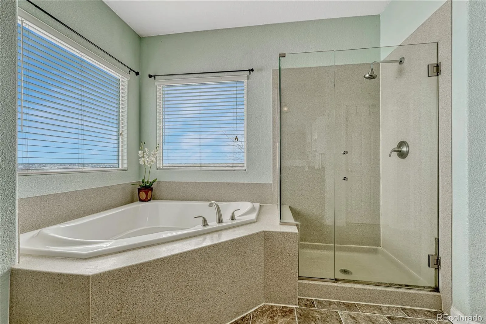 3648 Tom Mix Circle Parker CO 80138 | MLS #REC2050301 08272026224459 1600 18