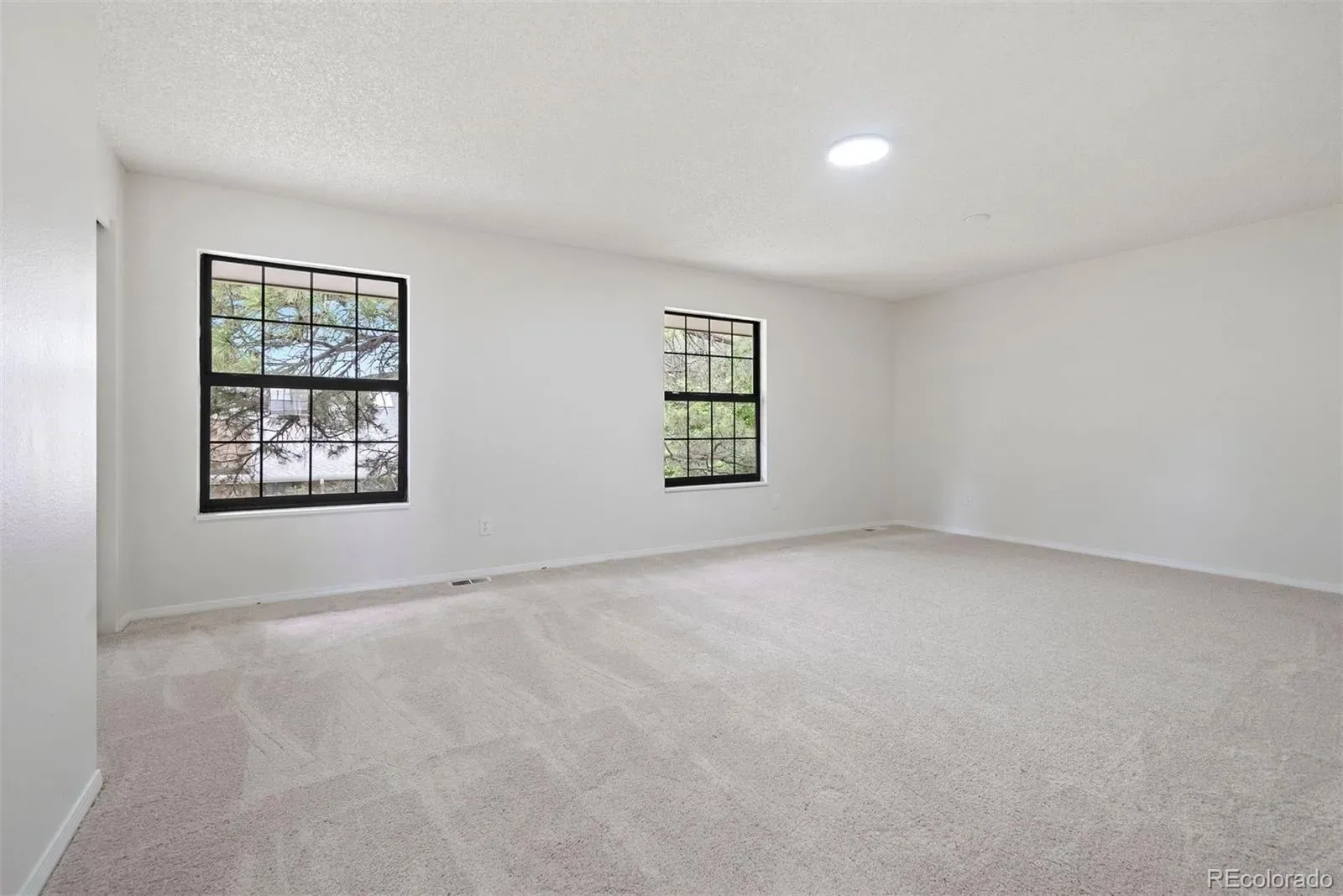 03312026184833 1600 20