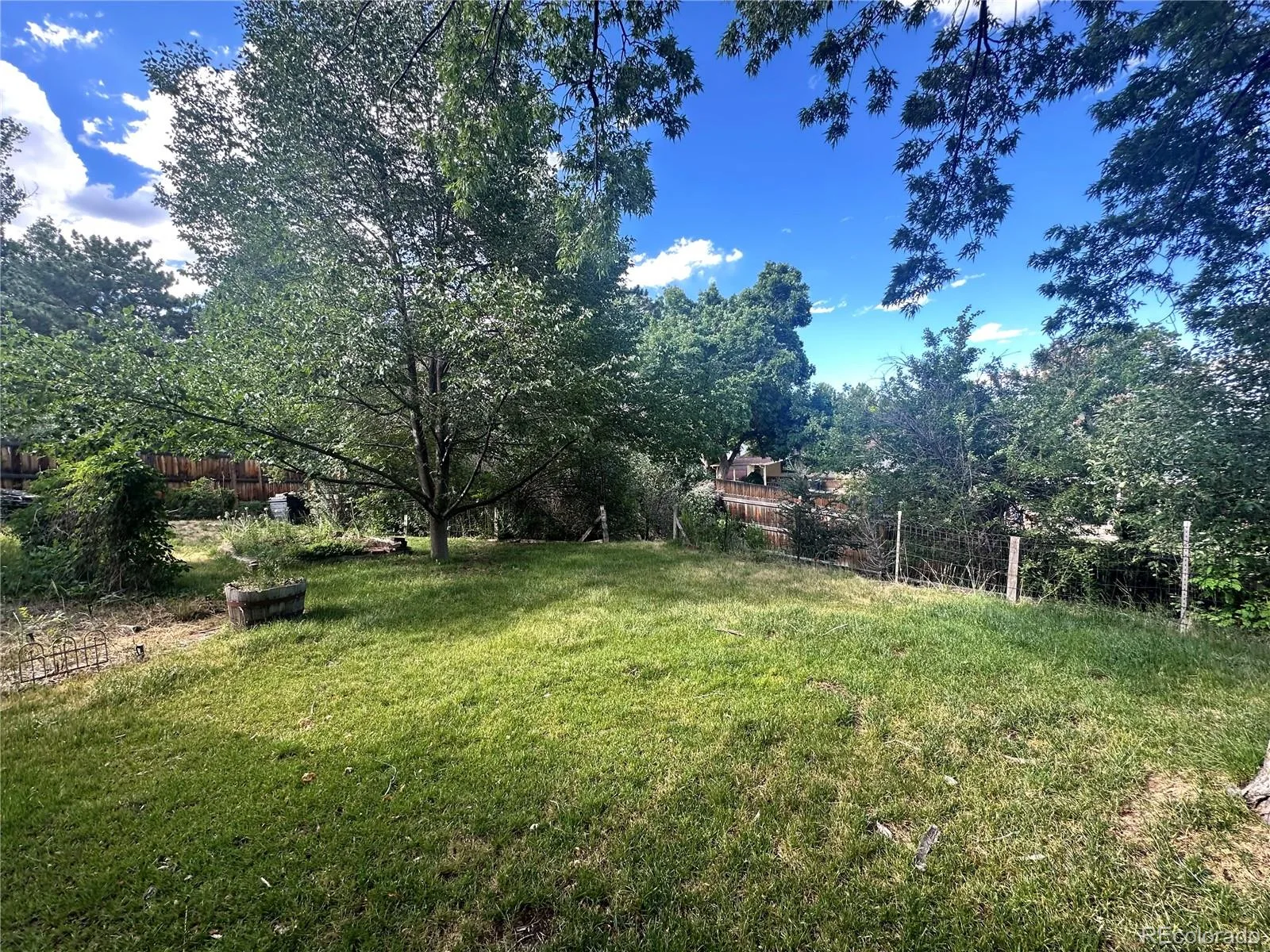 12769 W Alabama Place Lakewood CO 80228 | MLS #REC2060002 08082026210736 1600 20