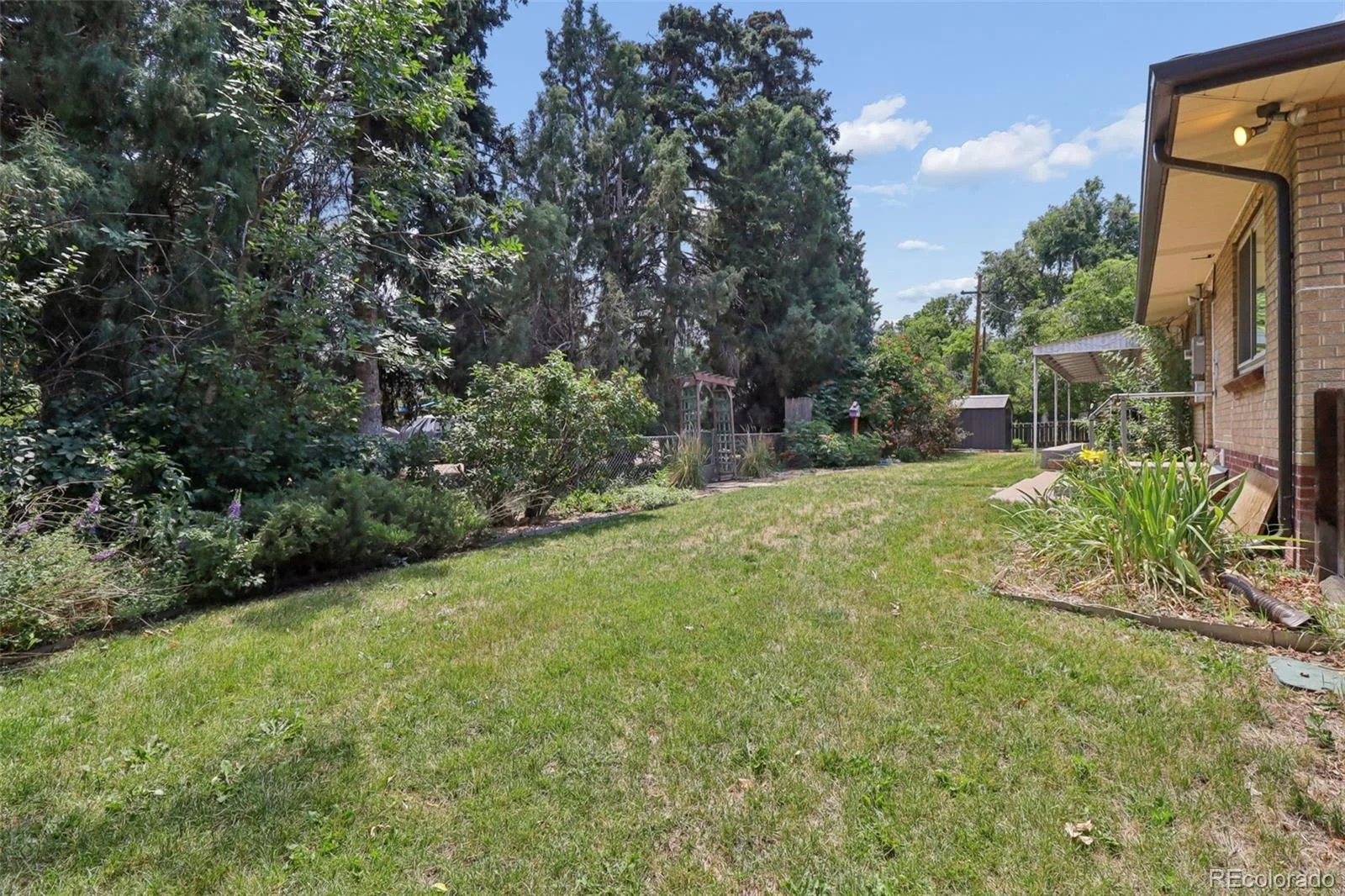 7100 W 29th Place Wheat Ridge CO 80033 MLS #REC2061056 07062026231536 1600 35