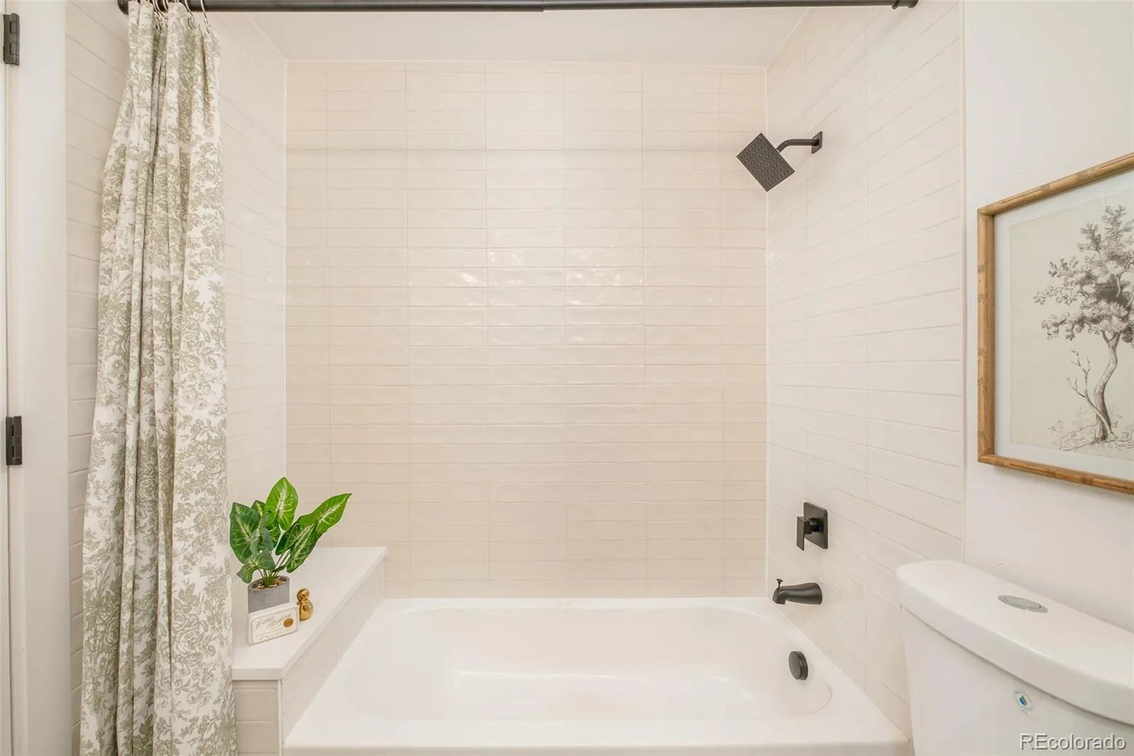 7333 Braun Street Arvada CO 80005 MLS #REC2063302 07092026163755 1600 25