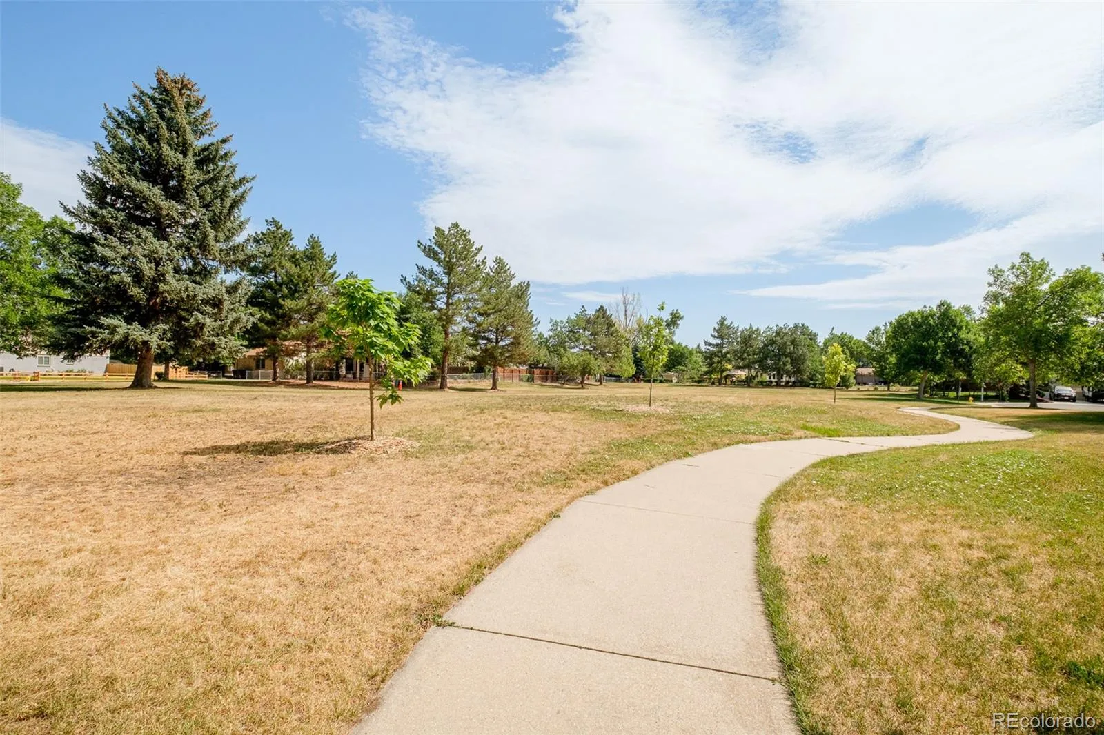 7333 Braun Street Arvada CO 80005 MLS #REC2063302 07092026163755 1600 39