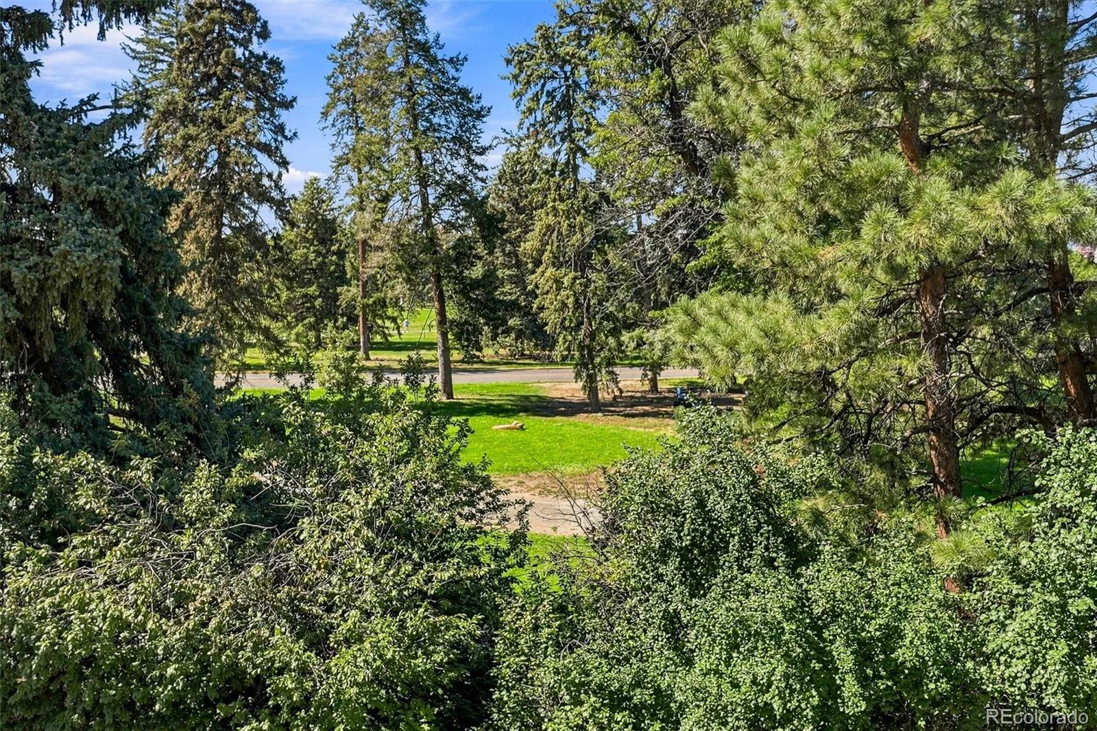 1223 Race Street #302 Denver CO 80206 | MLS #REC2068772 09252026175220 1600 20