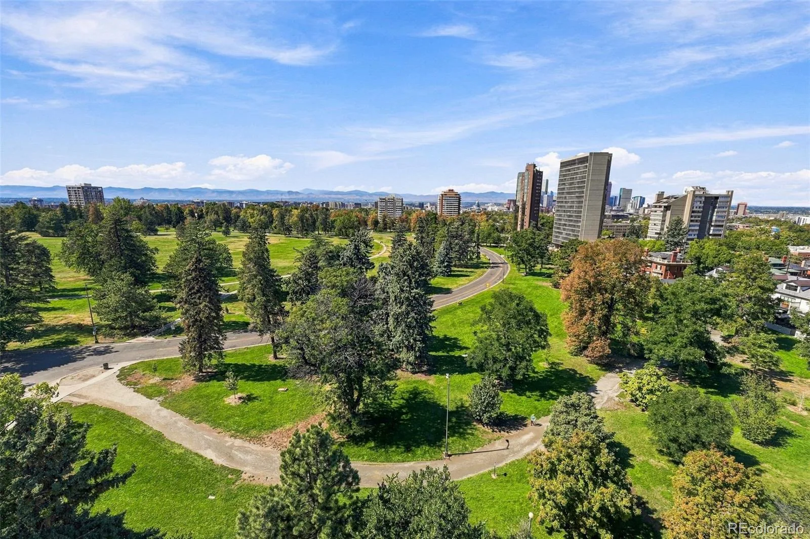 1223 Race Street #302 Denver CO 80206 | MLS #REC2068772 09252026175220 1600 39