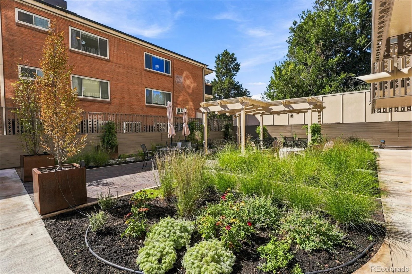 1223 Race Street #302 Denver CO 80206 | MLS #REC2068772 09252026175220 1600 44