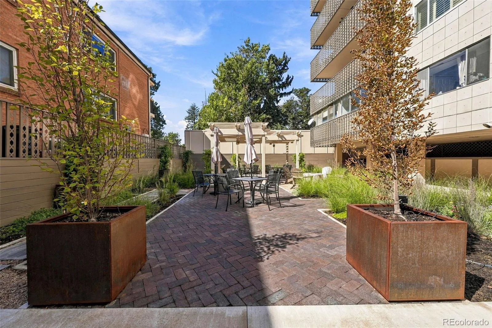 1223 Race Street #302 Denver CO 80206 | MLS #REC2068772 09252026175220 1600 45
