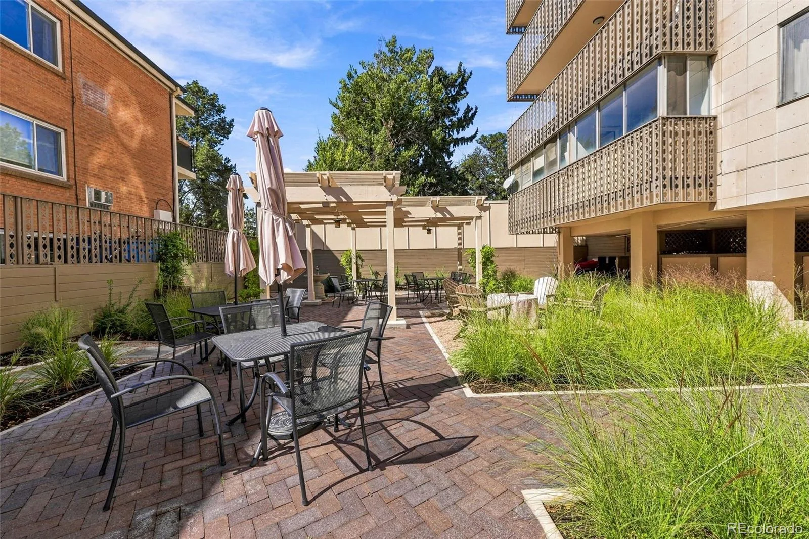 1223 Race Street #302 Denver CO 80206 | MLS #REC2068772 09252026175220 1600 47