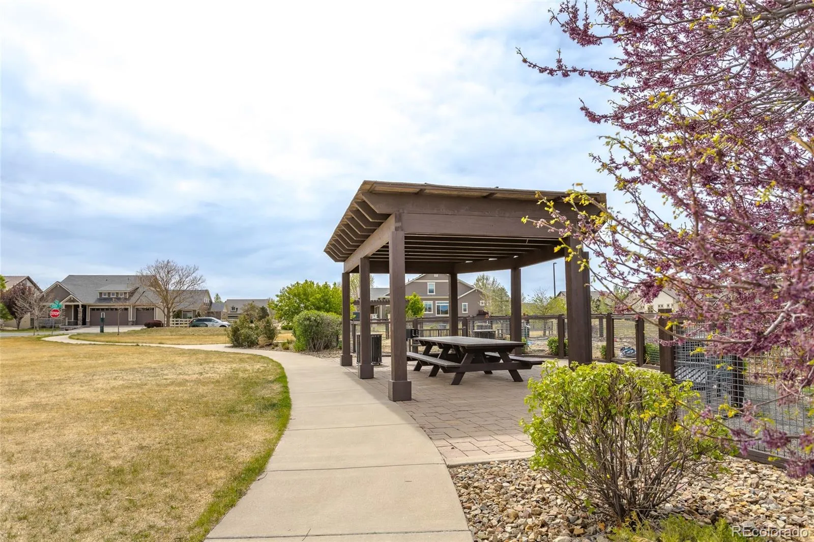 19754 E 54th Place Denver CO 80249 MLS #REC2069175 04242026050527 1600 25