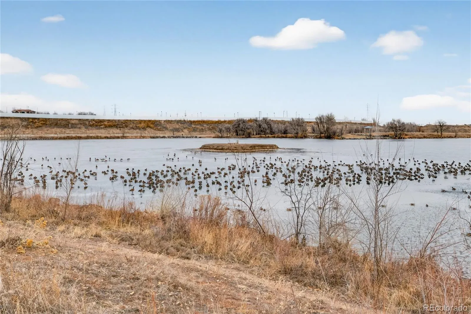 03102026230905 1600 43