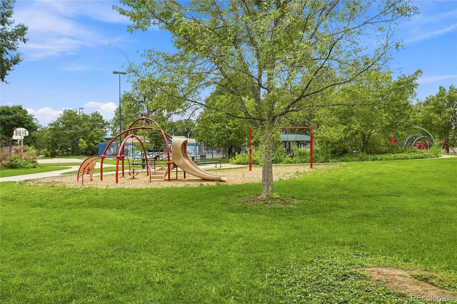 4774 Pennsylvania Street Denver CO 80216 | MLS #REC2083372 09302026042943 1600 19