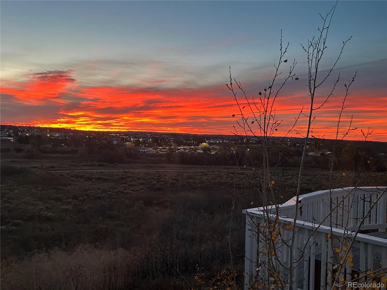 10270 Amethyst Way Parker CO 80134 MLS #REC2086463 05122026071837 1600 36