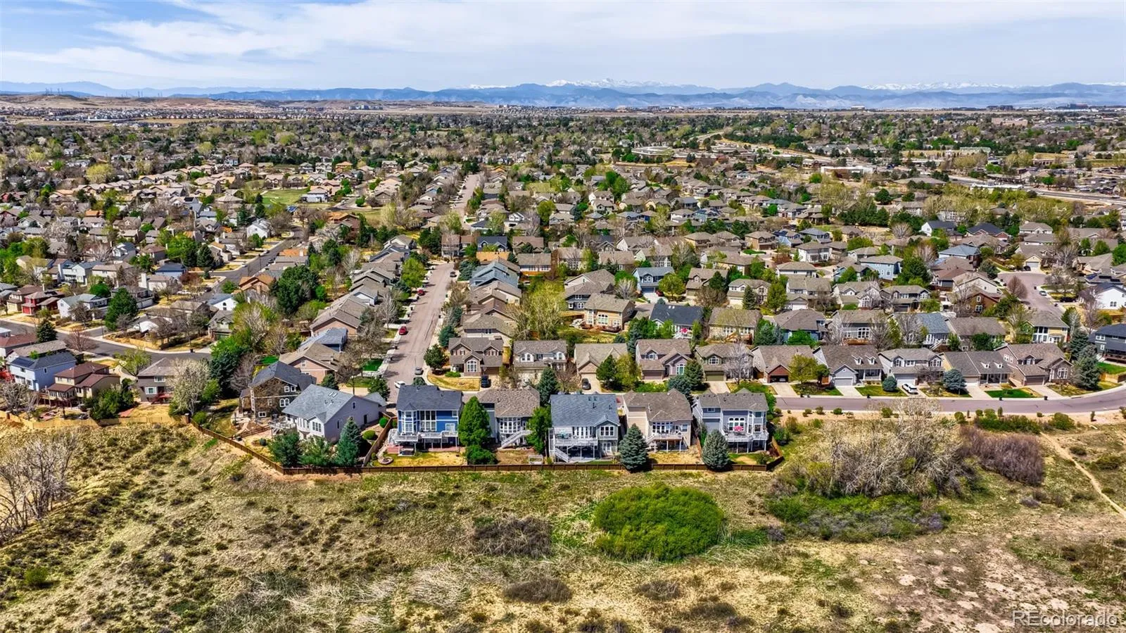 10270 Amethyst Way Parker CO 80134 MLS #REC2086463 05122026071837 1600 46