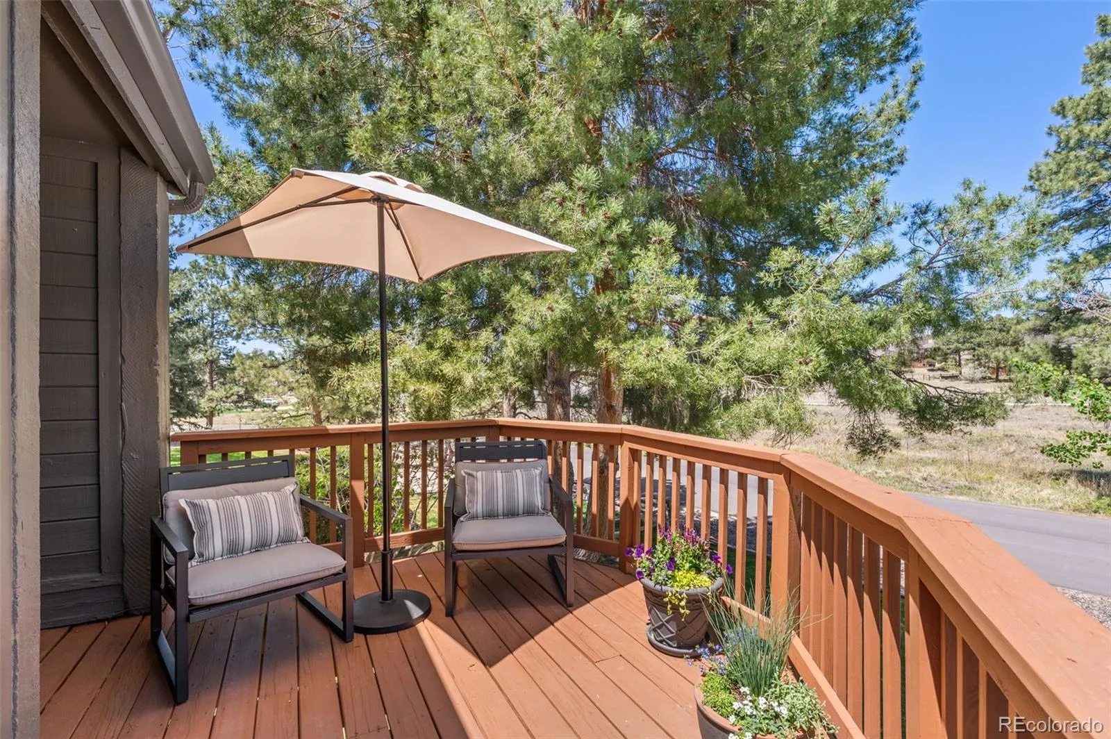 5955 Irish Pat Murphy Drive Parker CO 80134 MLS #REC2088792 05122026190802 1600 38