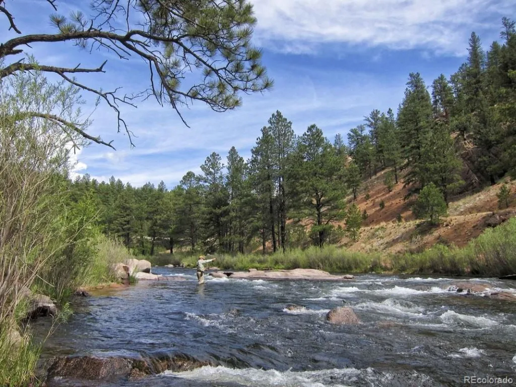 2230 S Platte River Road Sedalia CO 80135 | MLS #REC2094492 08262026203911 1024 4