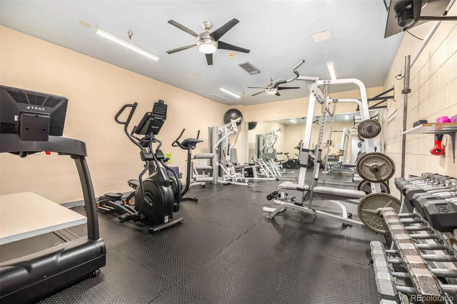 555 E 10th Avenue #10 Denver CO 80203 MLS #REC2104527 11292025010731 1600 26