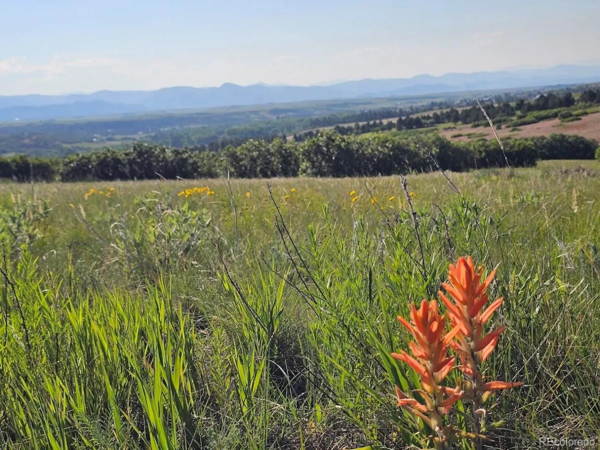 2937 Keep Drive Sedalia CO 80135 | MLS #REC2106299 04102026023811 1200 10