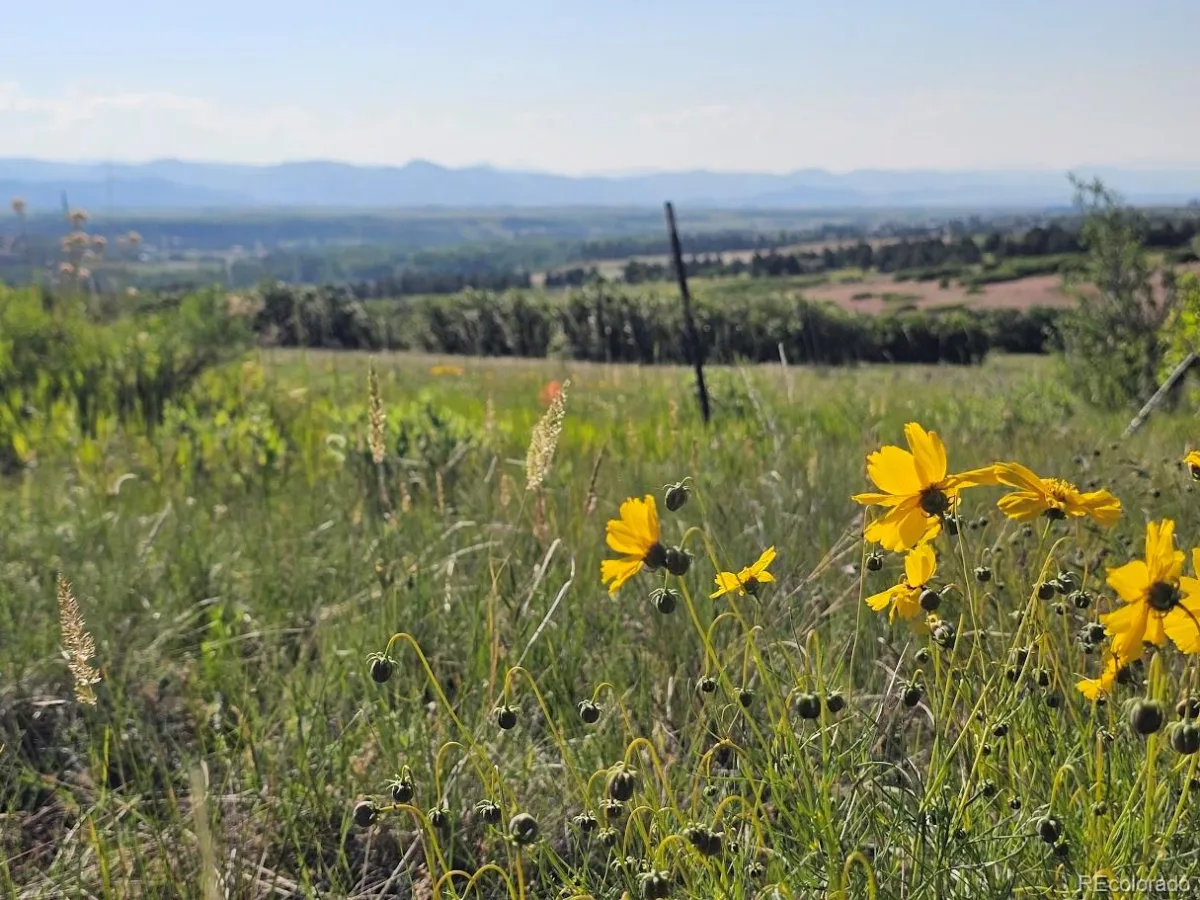 2937 Keep Drive Sedalia CO 80135 | MLS #REC2106299 04102026023811 1200 14
