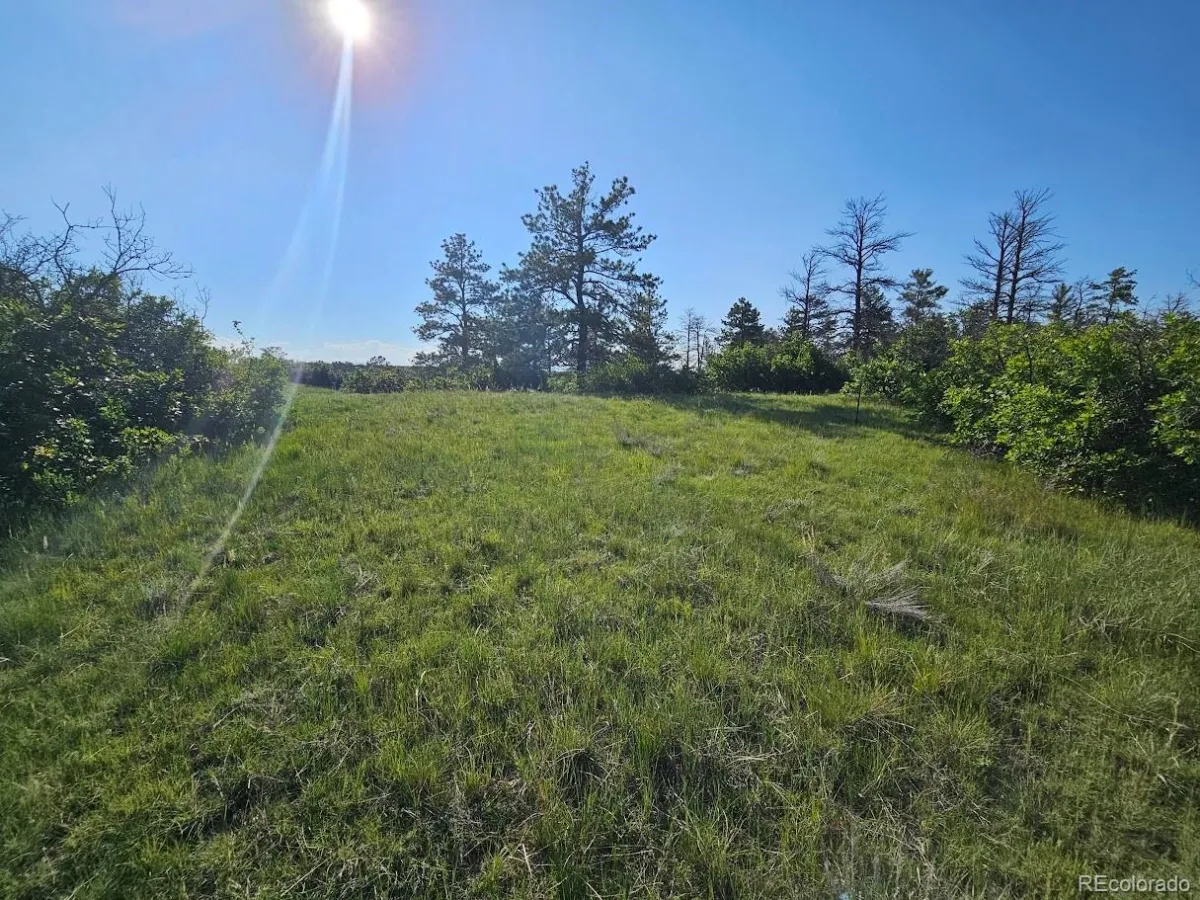 2937 Keep Drive Sedalia CO 80135 | MLS #REC2106299 04102026023811 1200 18