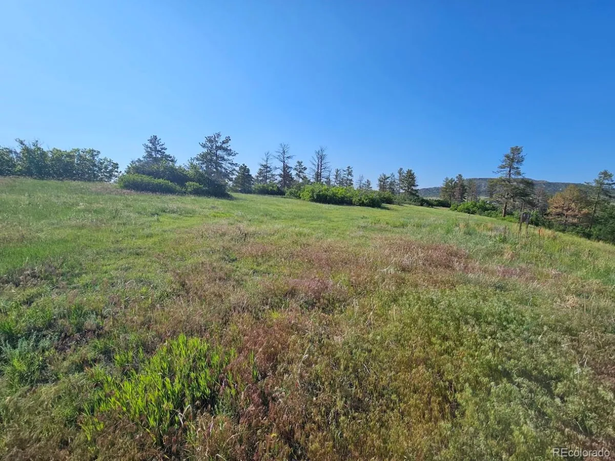 2937 Keep Drive Sedalia CO 80135 | MLS #REC2106299 04102026023811 1200 24