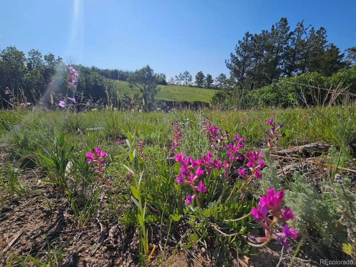2937 Keep Drive Sedalia CO 80135 | MLS #REC2106299 04102026023811 1200 6