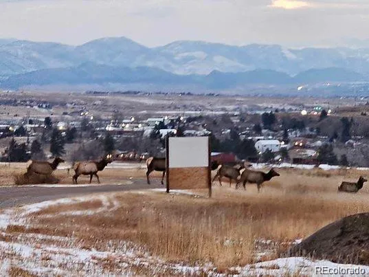 2937 Keep Drive Sedalia CO 80135 | MLS #REC2106299 04102026023811 537 20