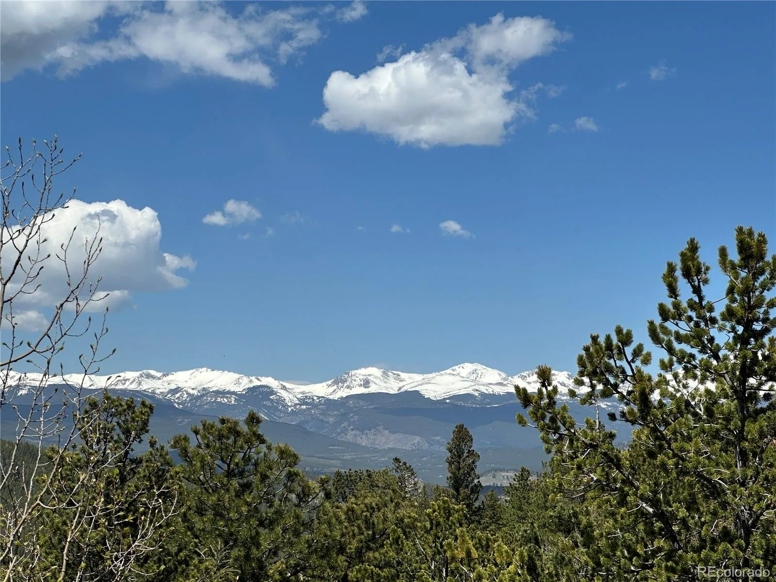 72 Rudi Ln W Golden CO 80403 | MLS #REC2107966 07062026183707 1600 6