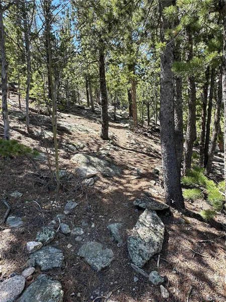 72 Rudi Ln W Golden CO 80403 | MLS #REC2107966 07062026183707 800 28