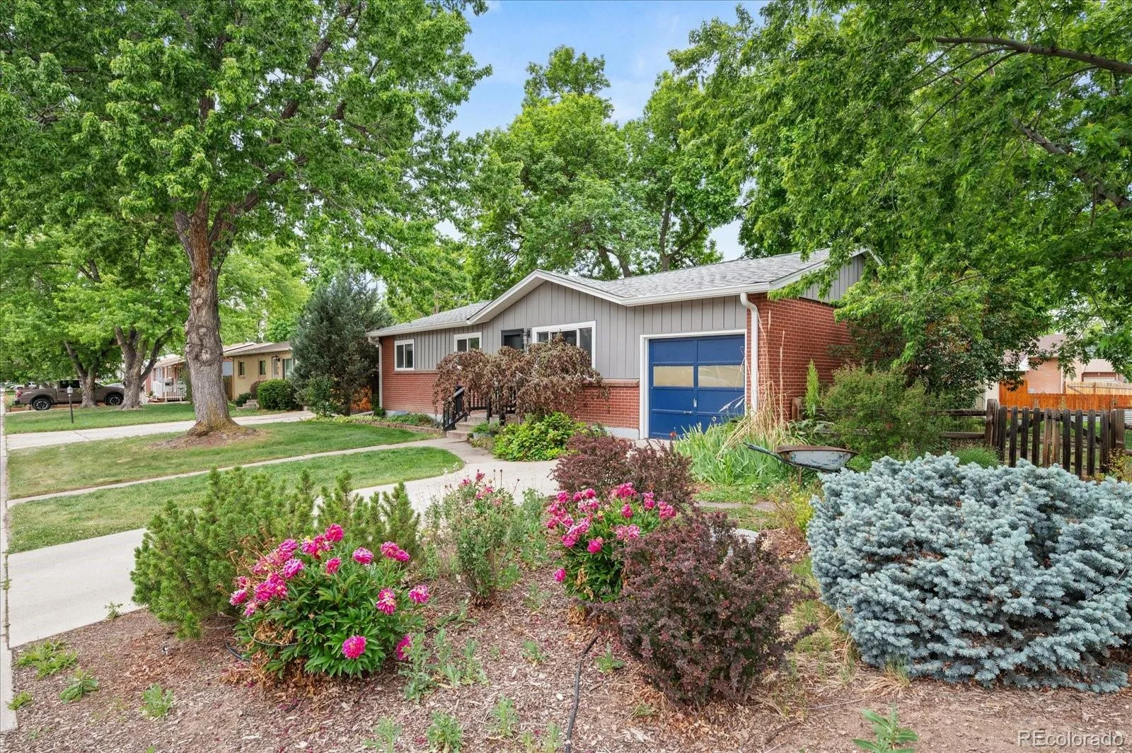 6797 Lee Street Arvada CO 80004 MLS #REC2108575 06172026022102 1600 1