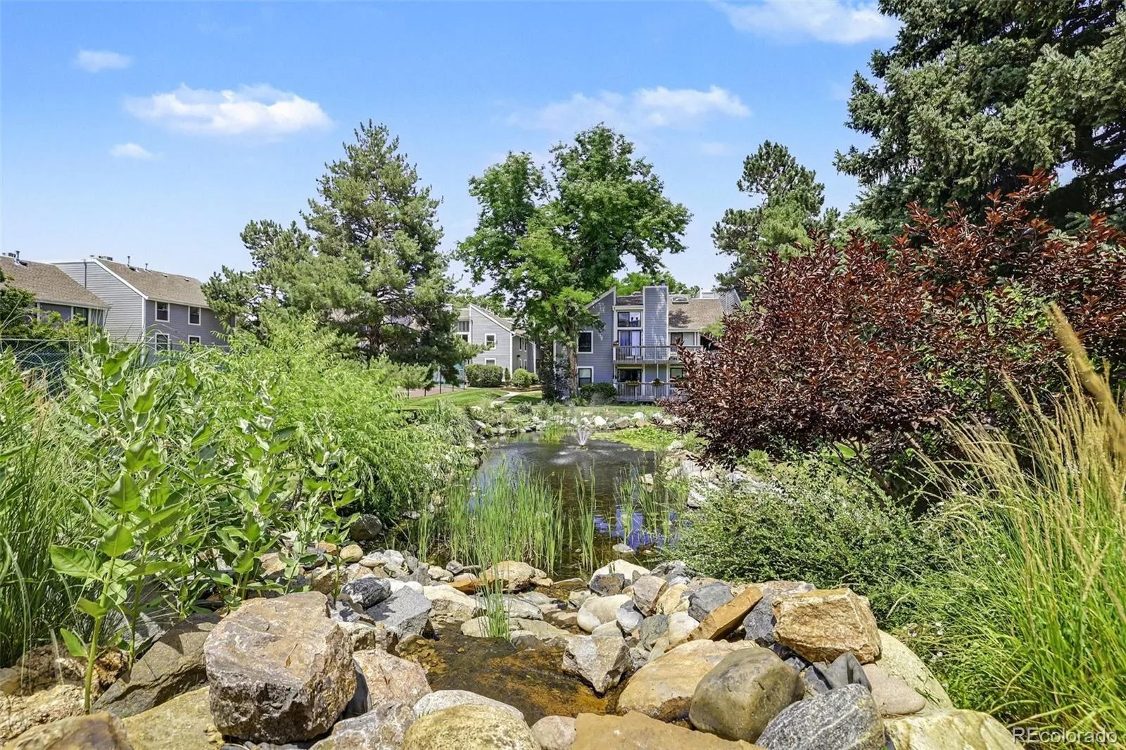 6479 S Havana Street #A Englewood CO 80111 | MLS #REC2111735 07182026063532 1600 35