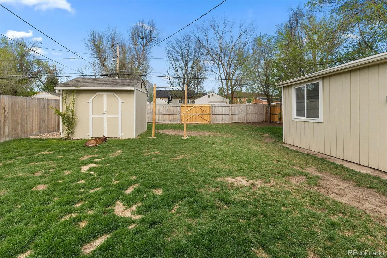 1310 Alton Street Aurora CO 80010 MLS #REC2112802 05182026182531 1600 24