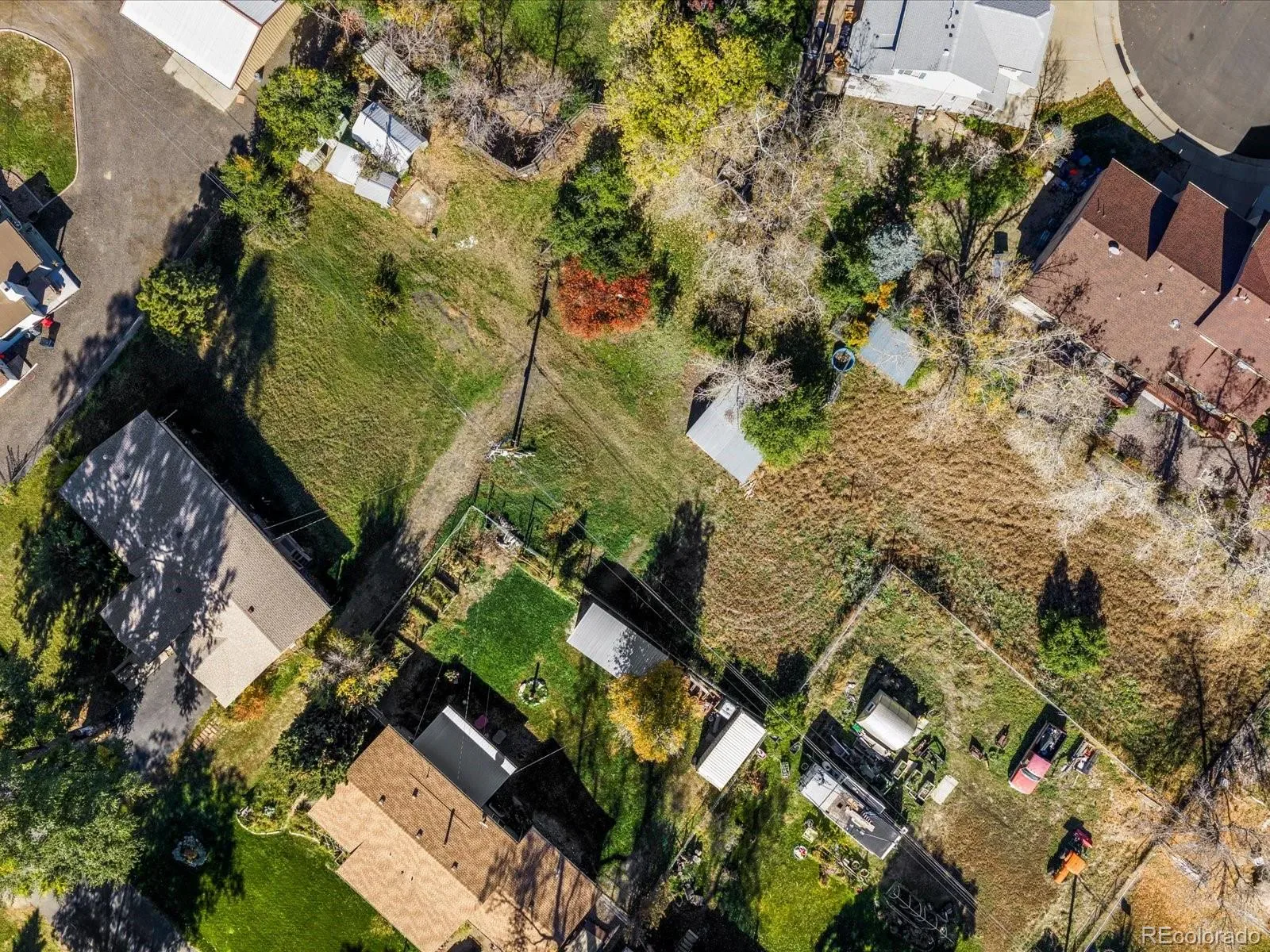 03172026175440 1600 44