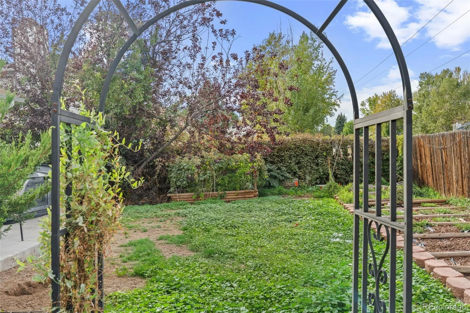 17797 E Belleview Place Centennial CO 80015 | MLS #REC2118799 09302026195417 1600 22