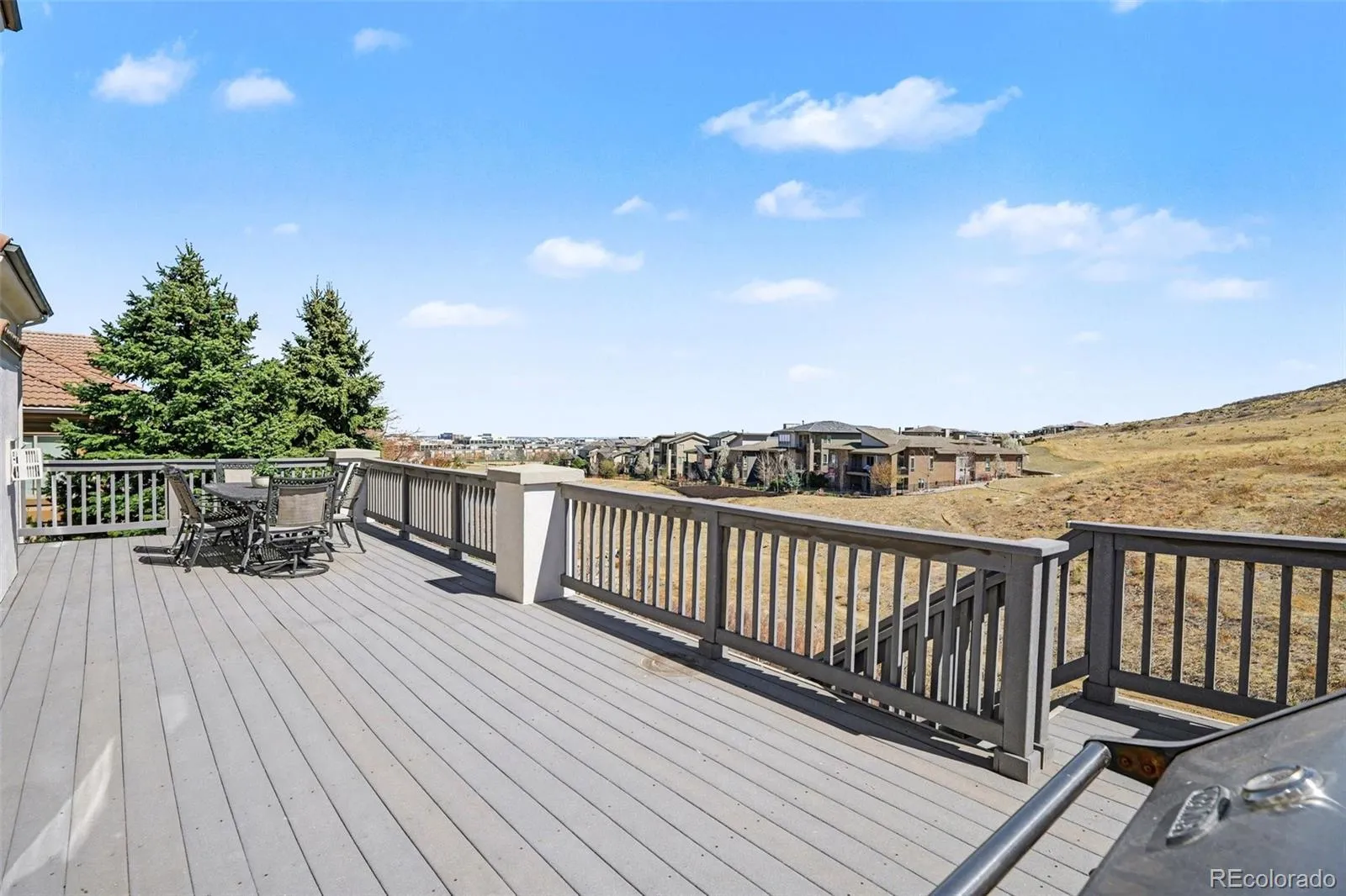 10528 Rivington Court Lone Tree CO 80124 MLS #REC2123433 05242026154010 1600 29