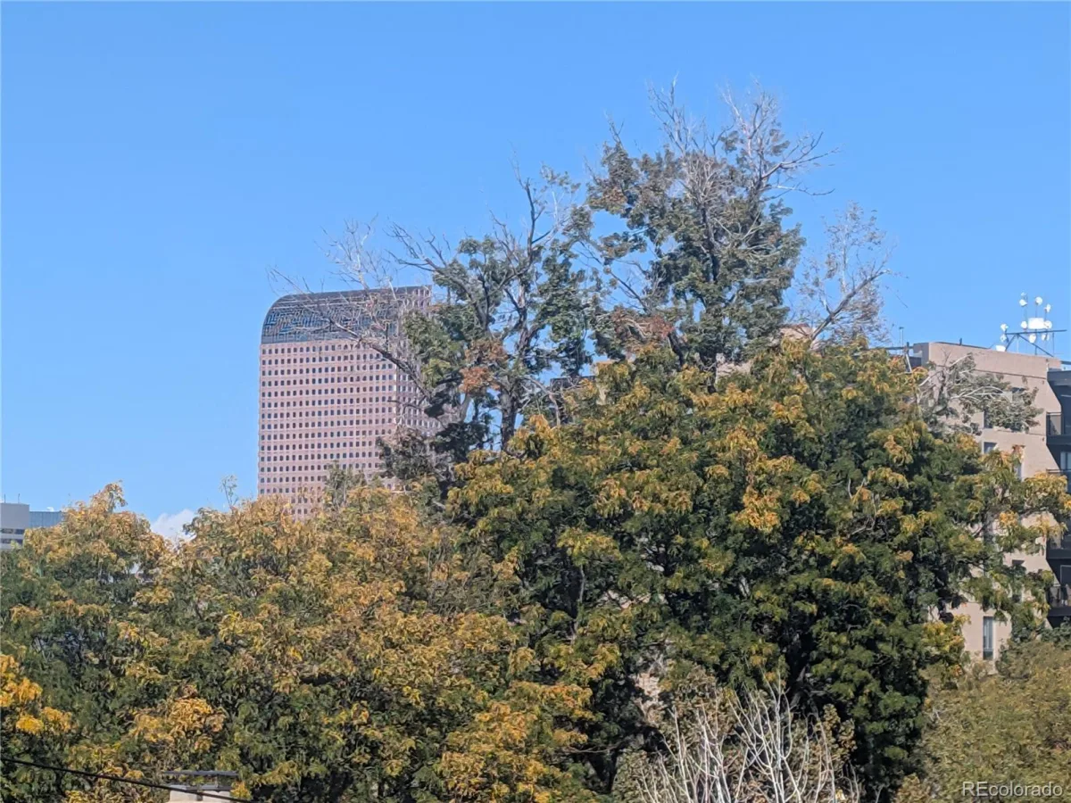 909 N Lafayette Street #403 Denver CO 80218 | MLS #REC2132050 10152026213505 1200 16