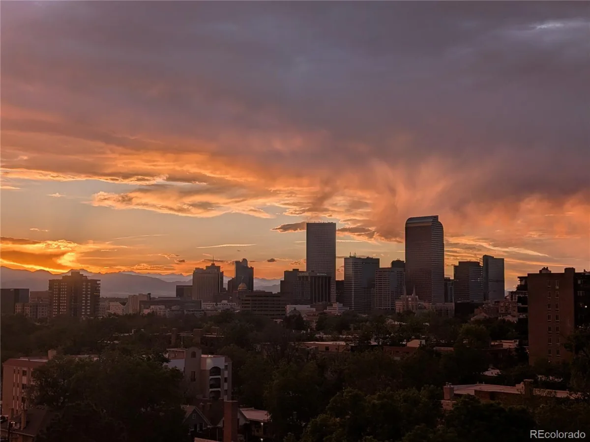 909 N Lafayette Street #403 Denver CO 80218 | MLS #REC2132050 10152026213505 1200 34
