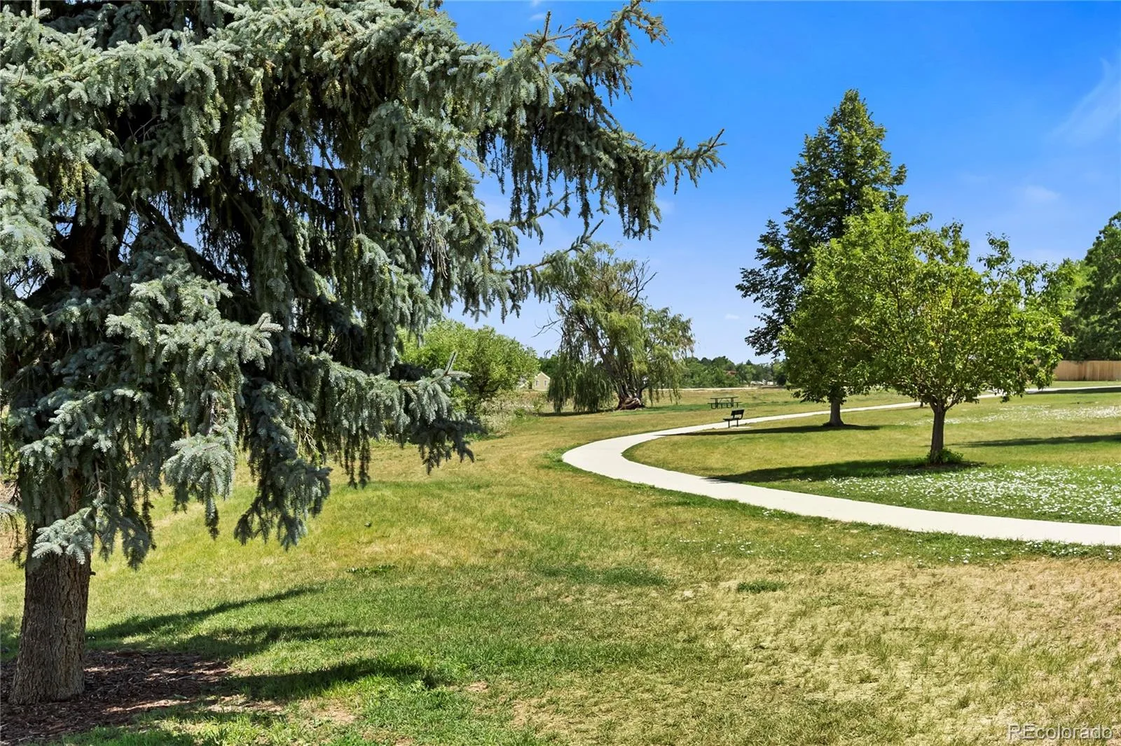 11000 W Powers Avenue Littleton CO 80127 | MLS #REC2134120 07292026220157 1600 26