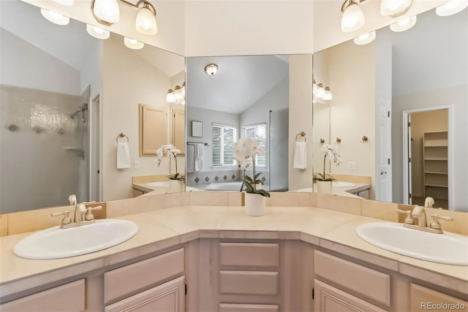 7356 Rattlesnake Drive Lone Tree CO 80124 MLS #REC2136949 06092026071646 1600 22