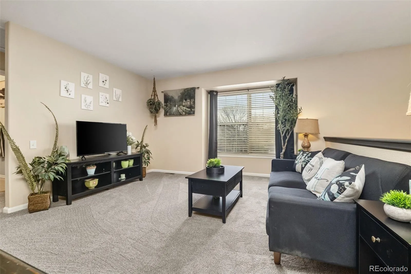 3550 Mallard Drive Highlands Ranch CO 80126 MLS #REC2145203 04252026213600 1600 19