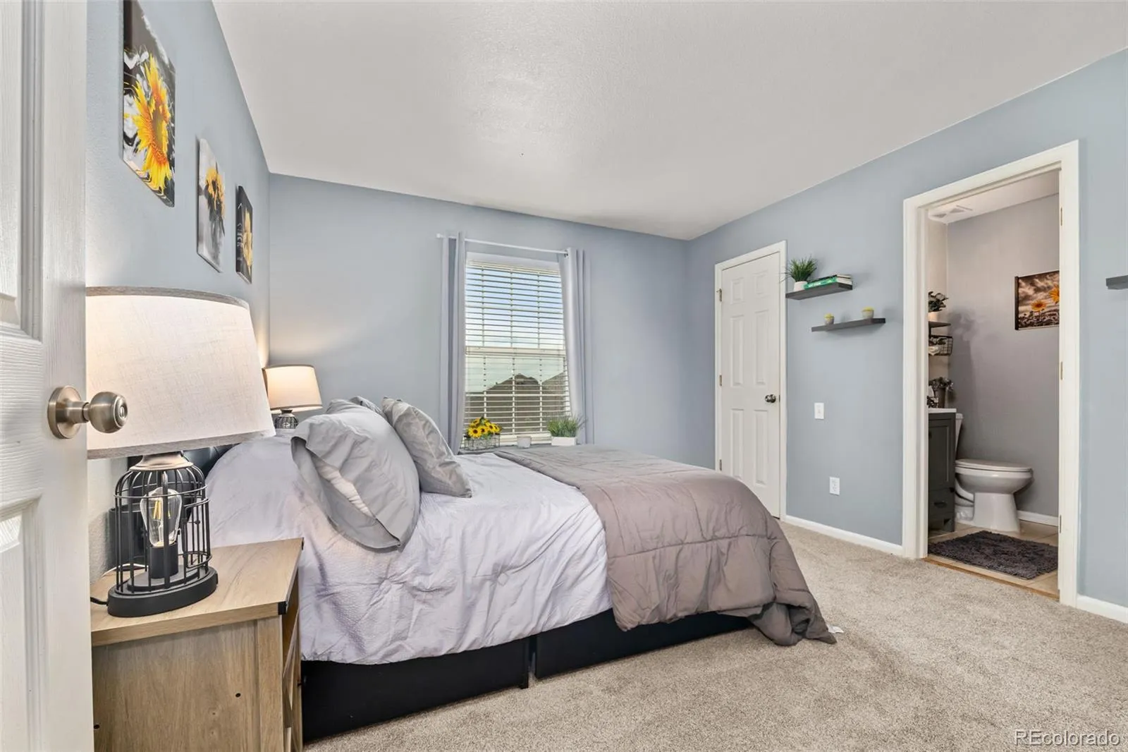 3550 Mallard Drive Highlands Ranch CO 80126 MLS #REC2145203 04252026213600 1600 23