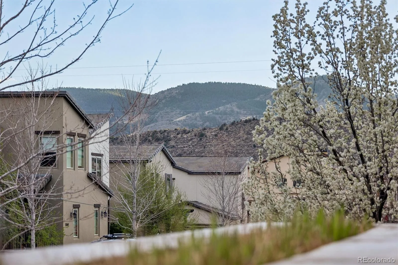 2439 S Orchard Street Lakewood CO 80228 | MLS #REC2147235 07232026235842 1600 27