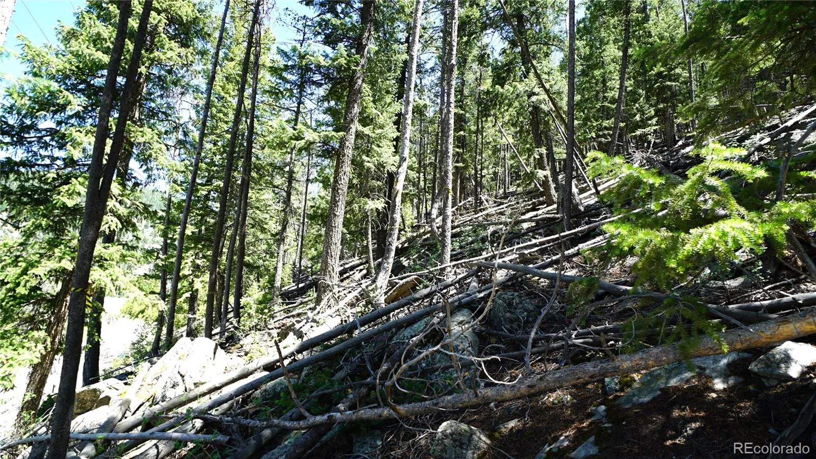 000 Saddleback Drive Evergreen CO 80439 | MLS #REC2150144 06122026200403 1600 4