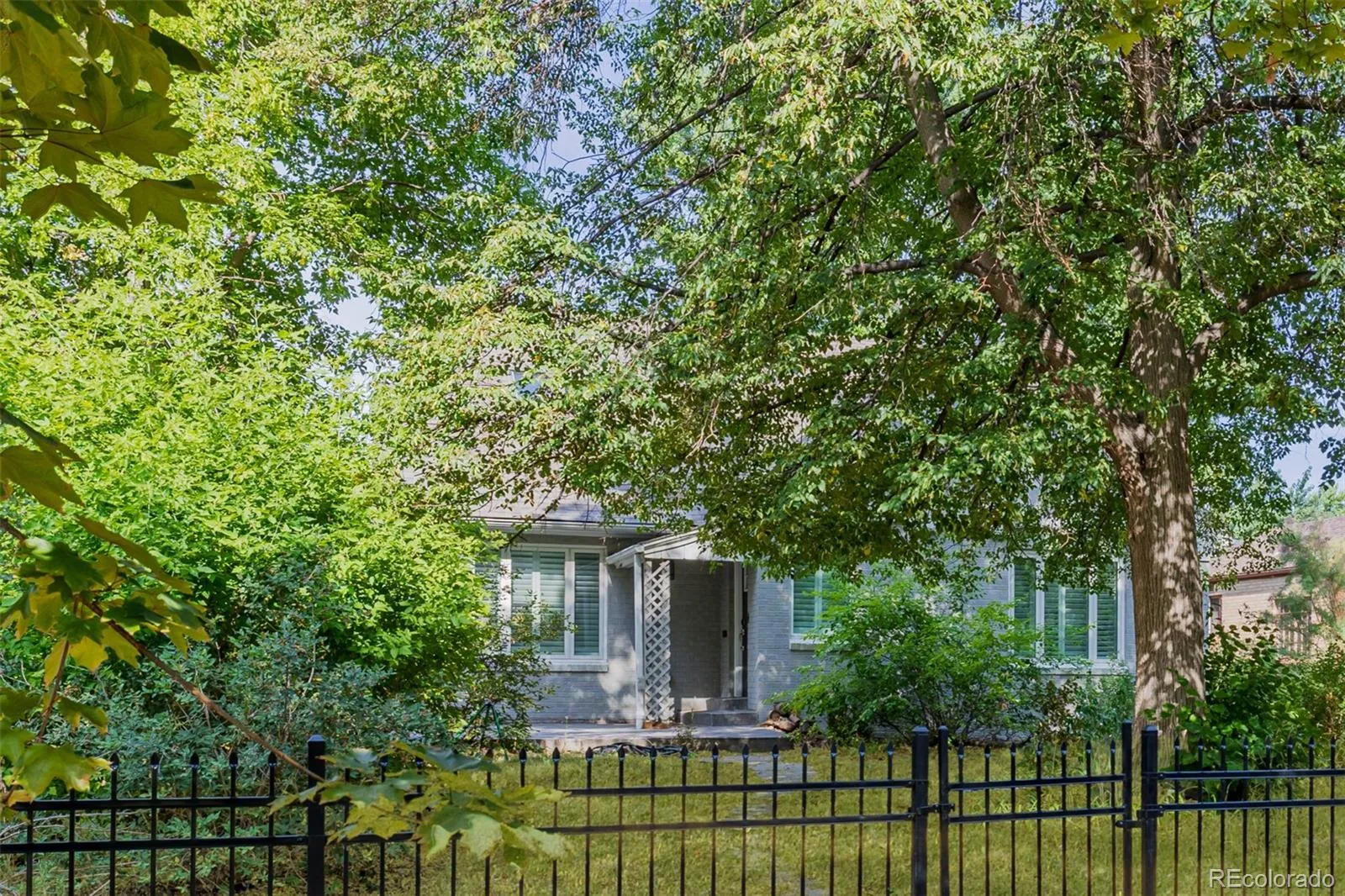 717 N Monaco Street Parkway Denver CO 80220 MLS #REC2151847 05212026235206 1600 0