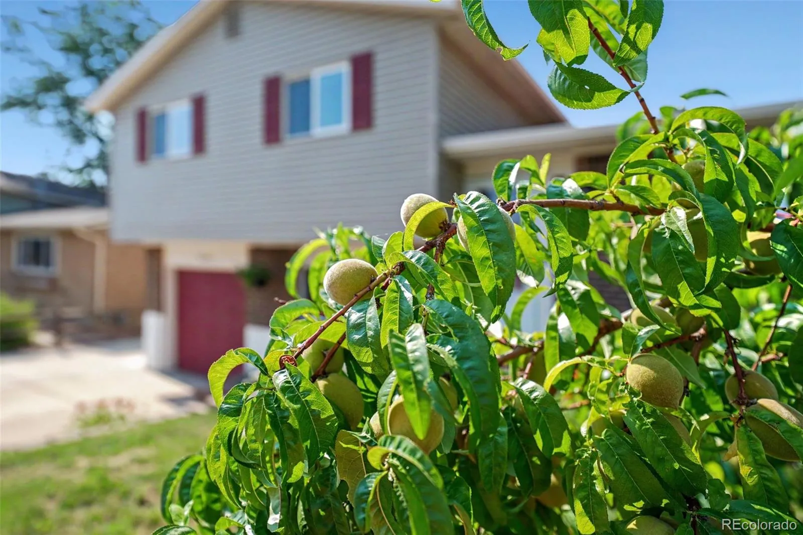 6450 W 108th Place Broomfield CO 80020 | MLS #REC2152420 07152026070724 1600 1