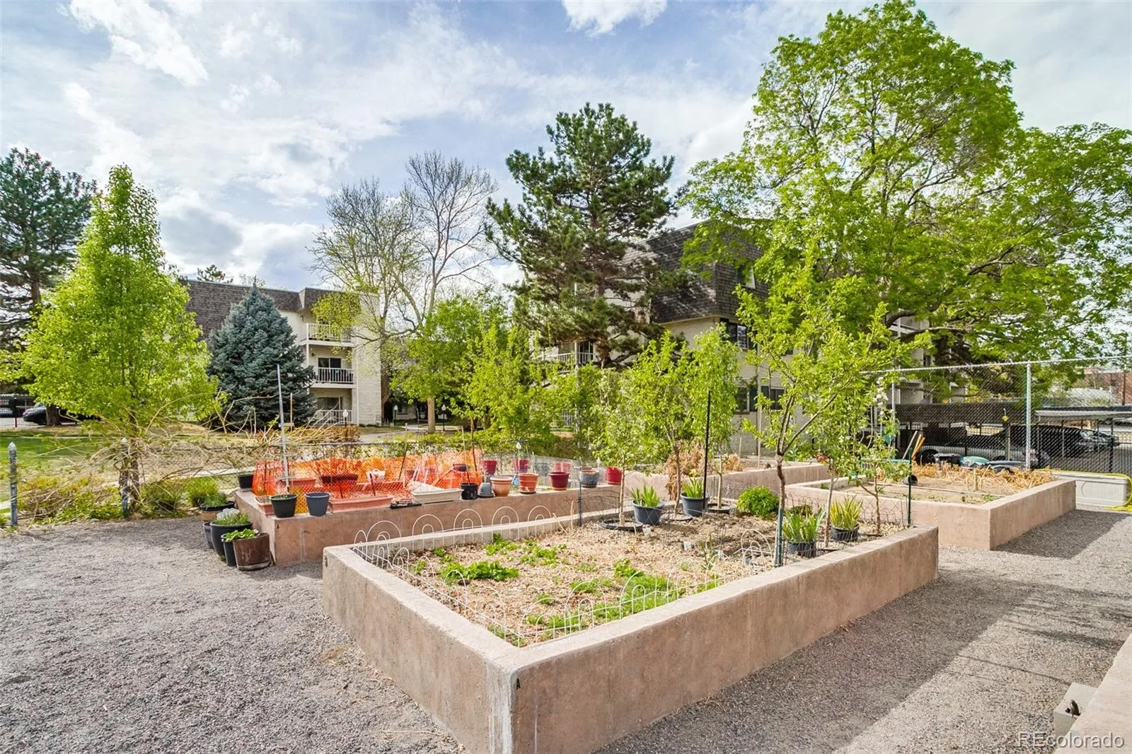 5770 E Warren Avenue #317 Denver CO 80222 MLS #REC2159329 04232026192643 1600 32