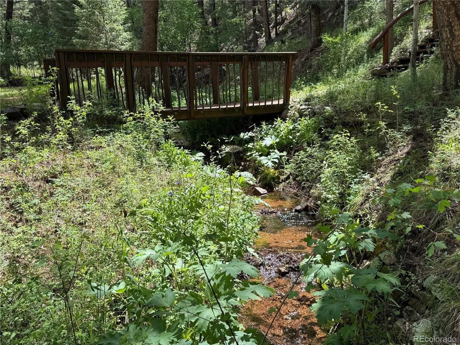 9716 Canon Drive Sedalia CO 80135 | MLS #REC2159685 03202026022057 1600 41