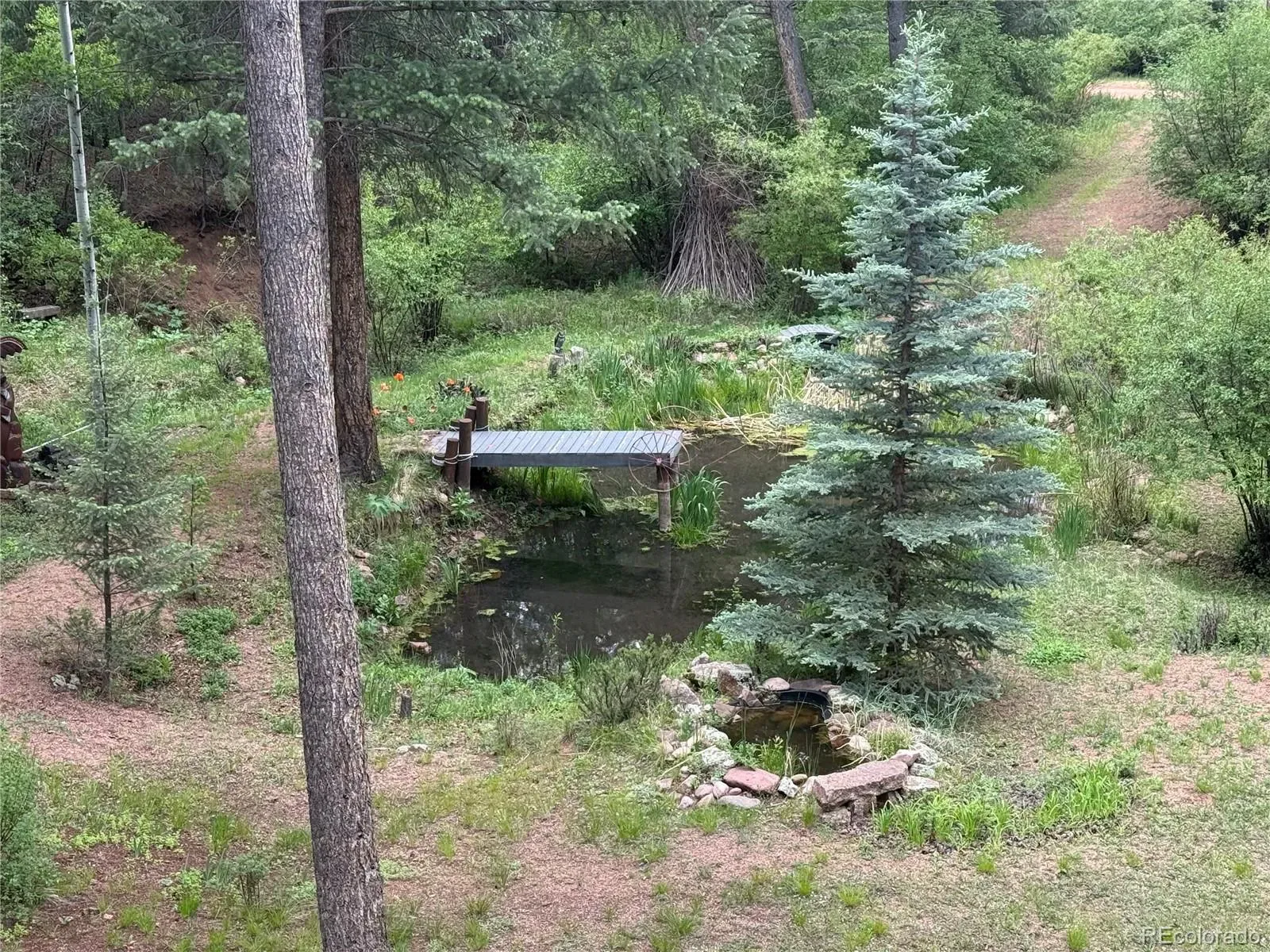 9716 Canon Drive Sedalia CO 80135 | MLS #REC2159685 03202026022057 1600 42