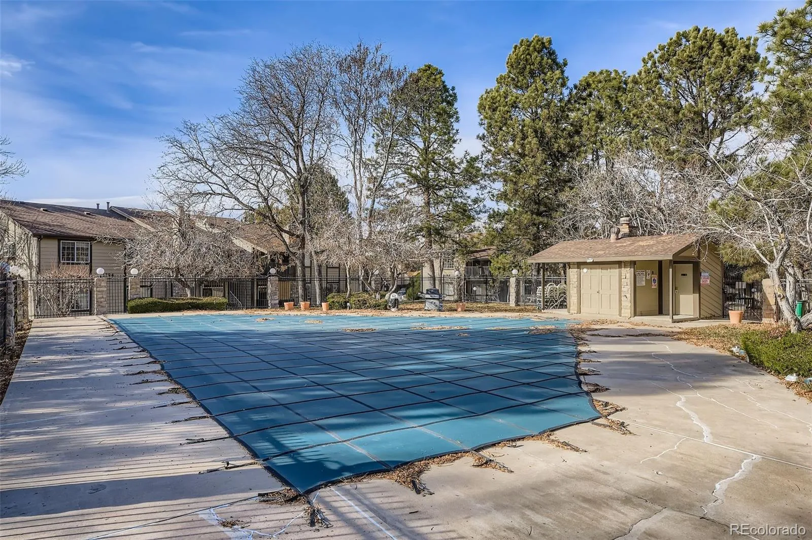 05202026000543 1600 19