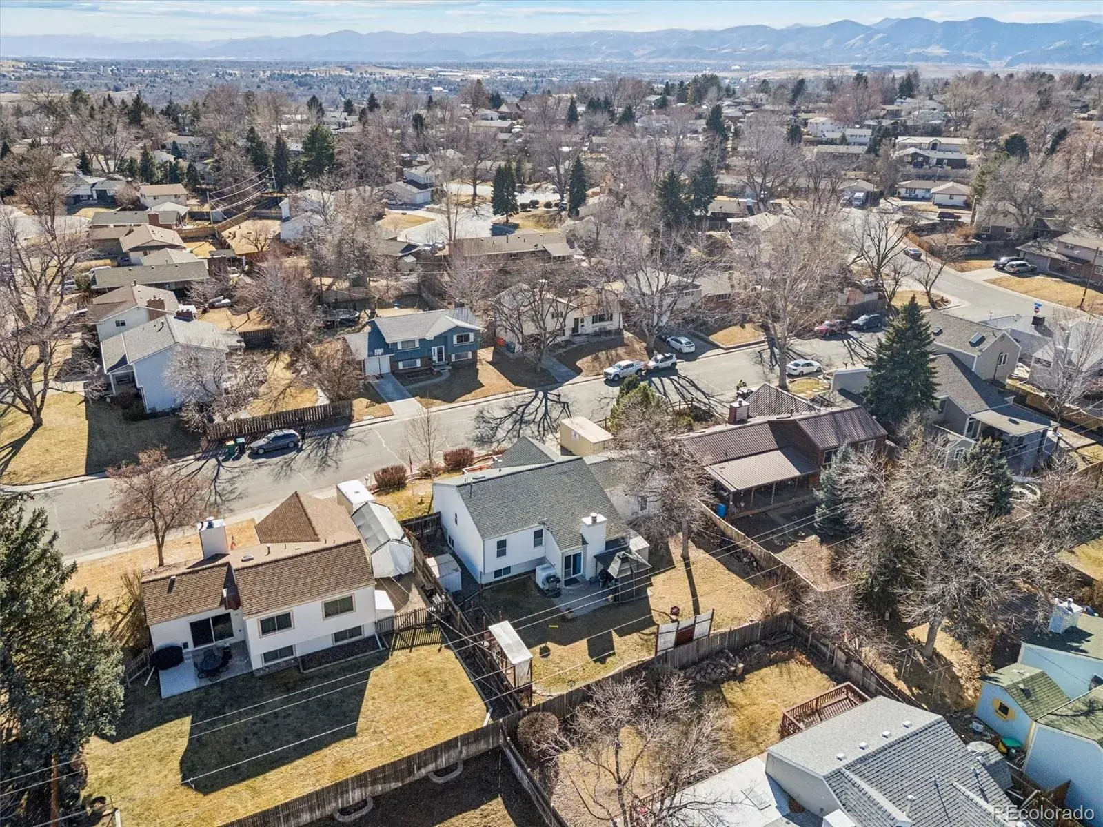 02112026225020 1600 31