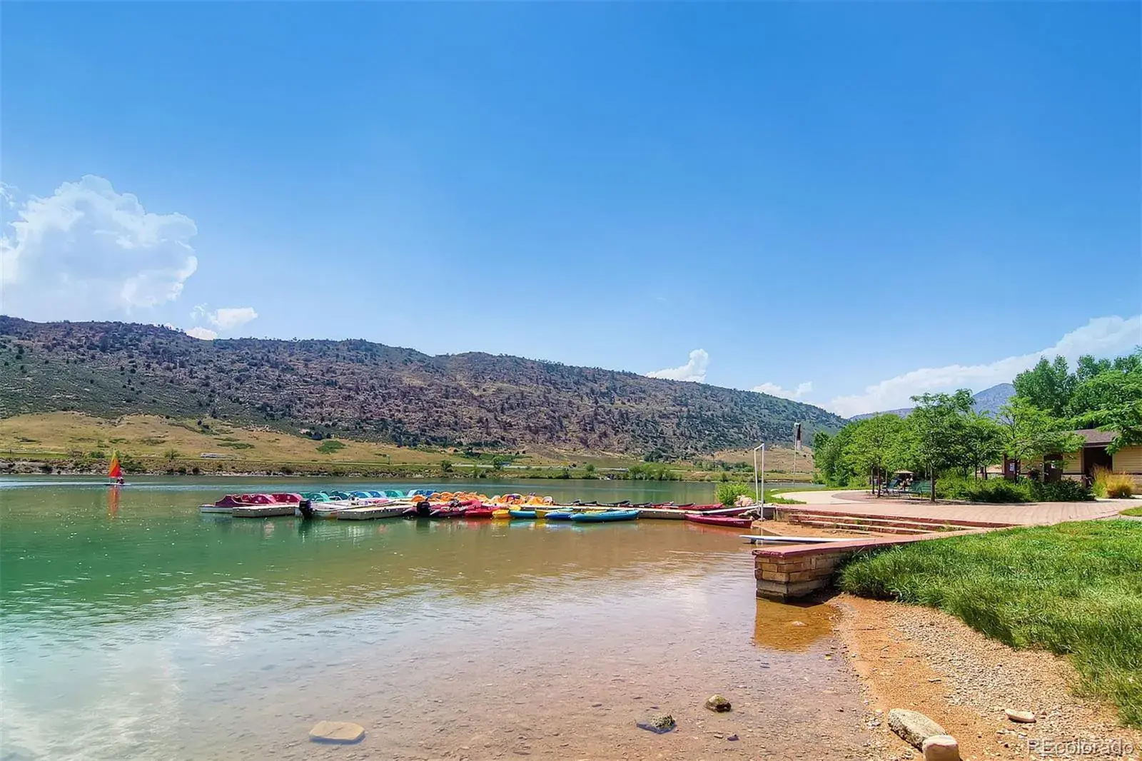 02112026225020 1600 41